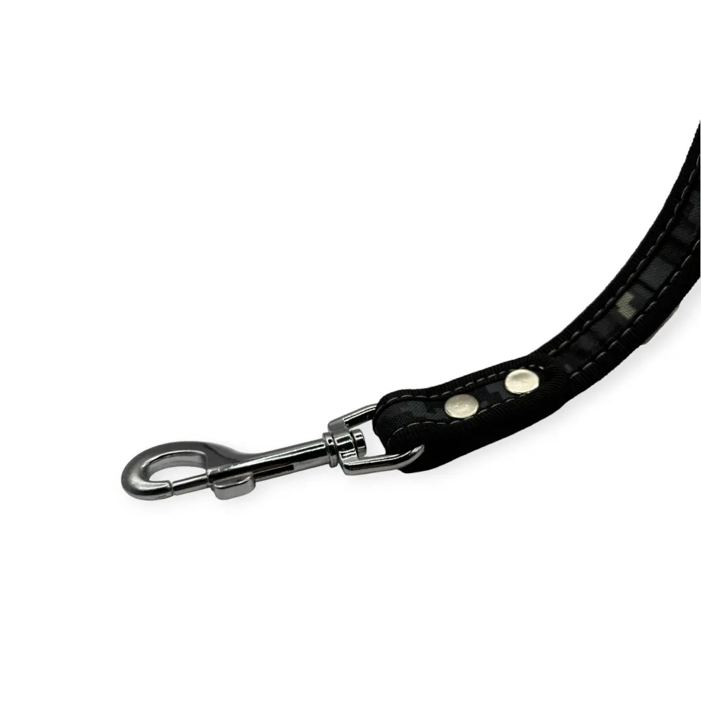 Correa para perro 1m de polipropileno colores  Kanio (1).webp