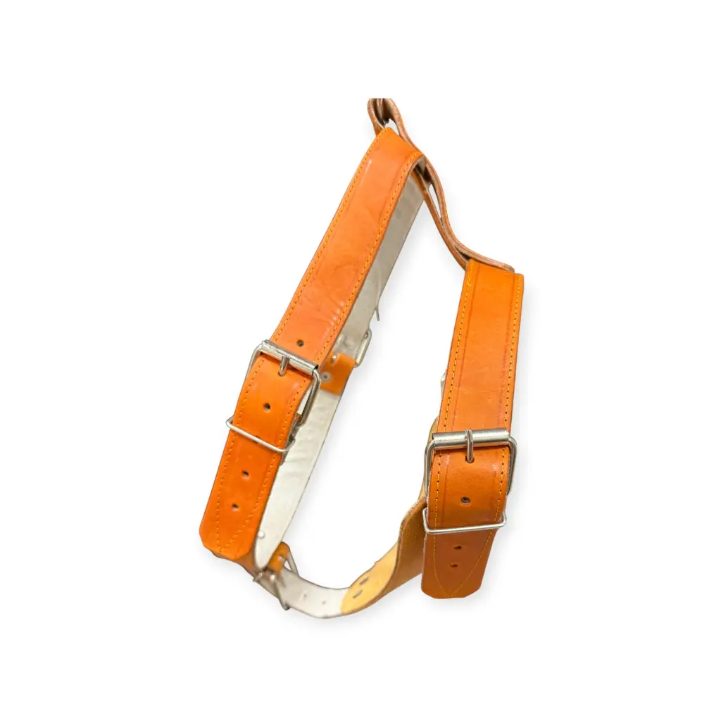 Pechera para perro Grande Triángulo vaqueta  color surtido (1).webp