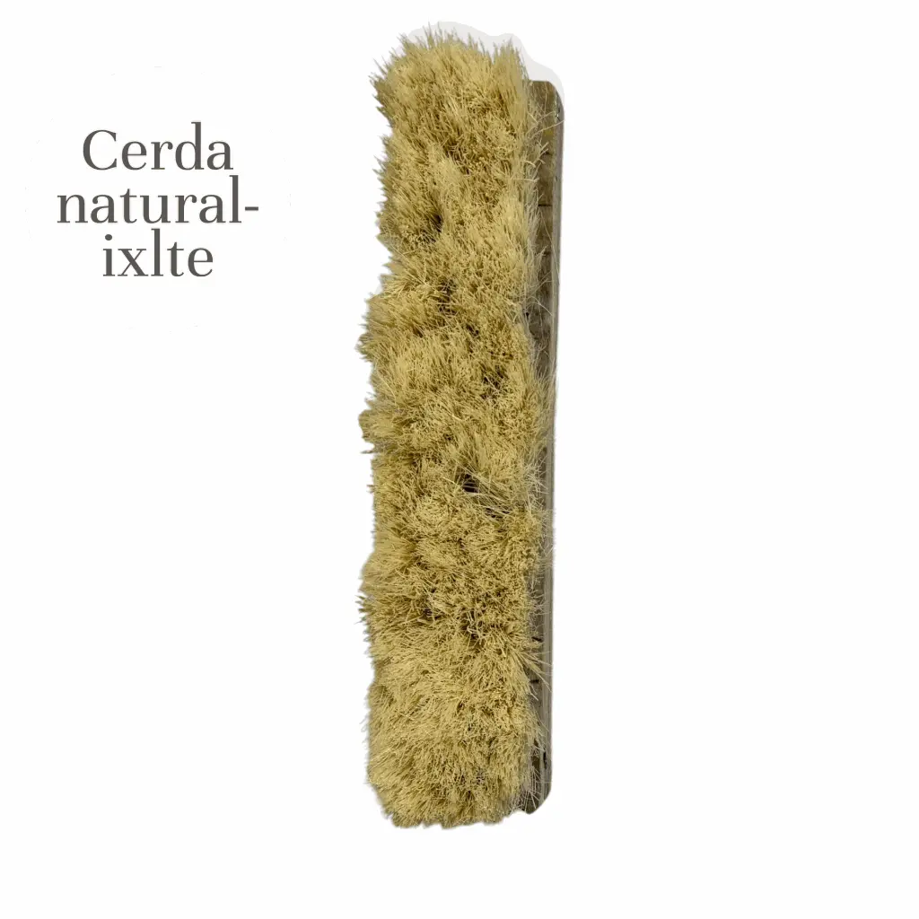 CEPILLO IXTLE 30cm SIN MANGO (2).webp