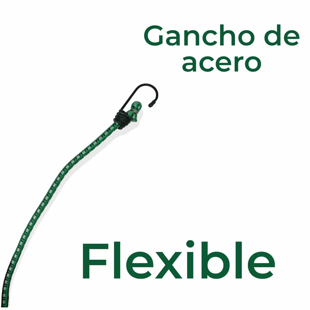 Liga elástica 24 con ganchos 1 pieza  Lion Tools (1).webp