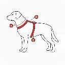 imagen de perro para referencia de medidas.webp