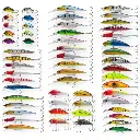 imgi_48_D_Q_NP_612350-CBT83309293104_042025-F-56-curricanes-pesca-senuelos-de-realista-pesca-mar-cebo-duro.webp