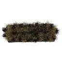 Cepillo para bolero #3 15.5 cm  Cerdas naturales  Bolear (5).webp