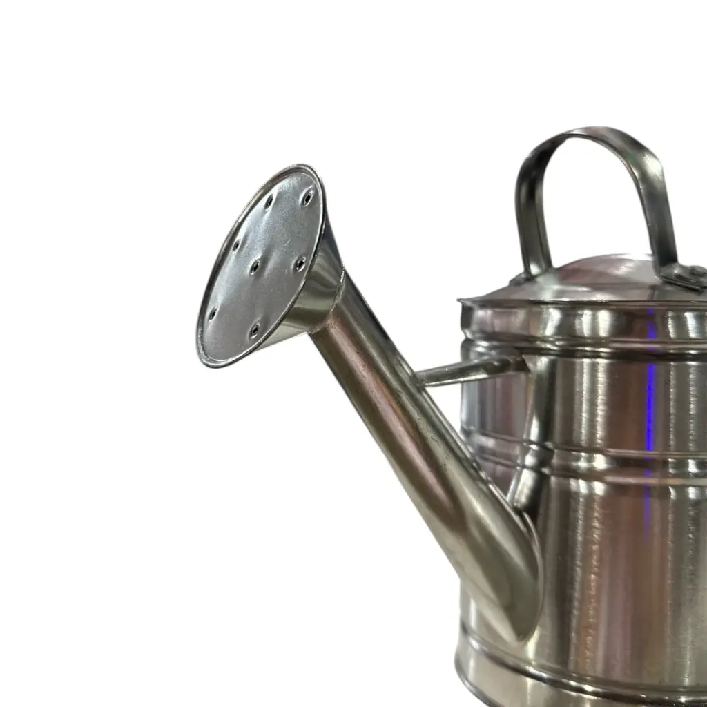 Regadera 1 L Hojalata (1).webp