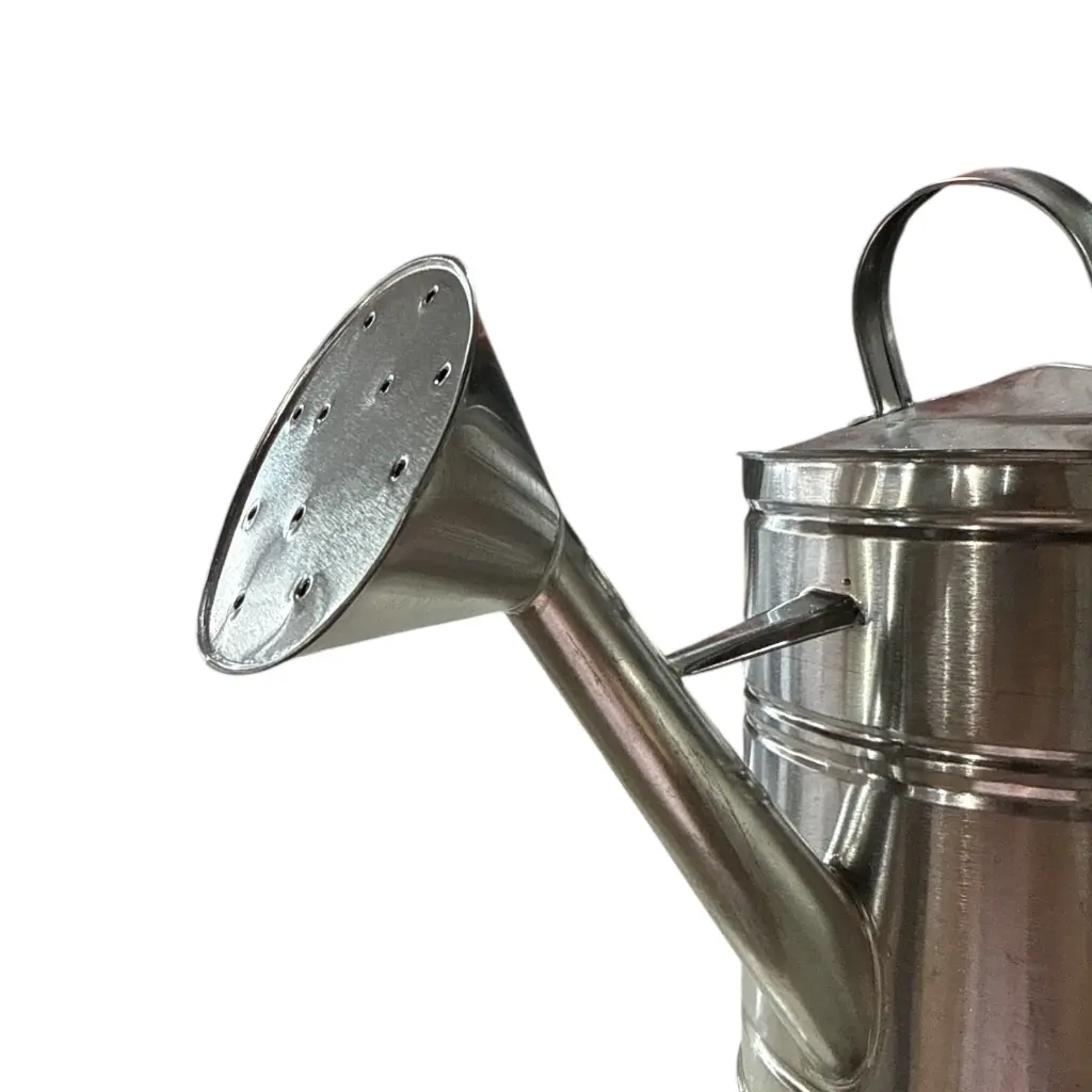Regadera 2 L Hojalata (3).webp
