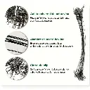 Lideres de acero con destorcedor y seguro pesca 30cm Negro con 10pz  (4).webp