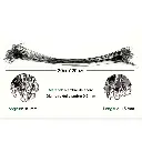 Lideres de acero con destorcedor y seguro pesca 30cm Negro con 10pz  (3).webp