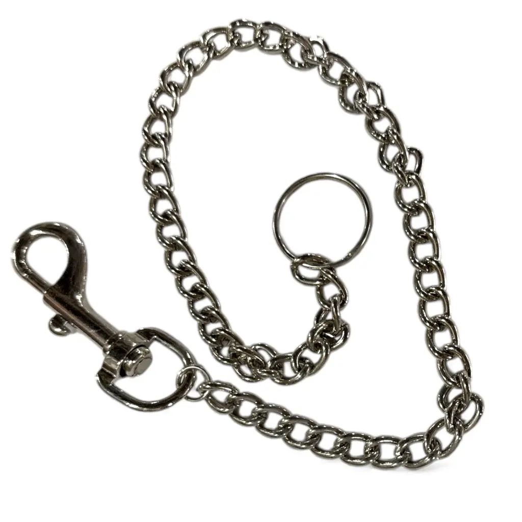 Cadena con bandola y destorcedor de fierro Llavero  Leontina (2).webp