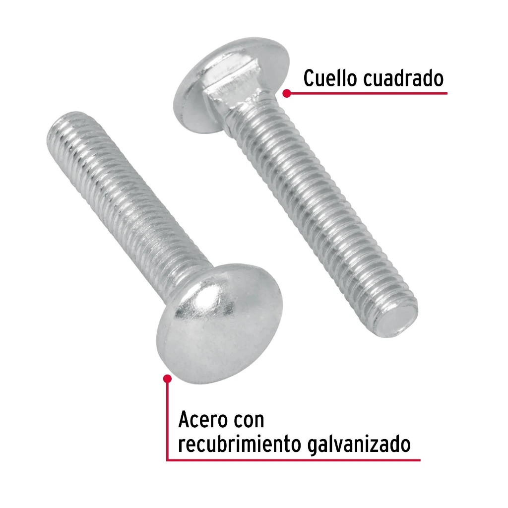 imgi_4_TORC-1-4X1-1-4+D1.webp