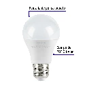 imgi_4_LED-60F+FC1.webp
