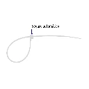 imgi_4_CIN-17545+FC1.webp