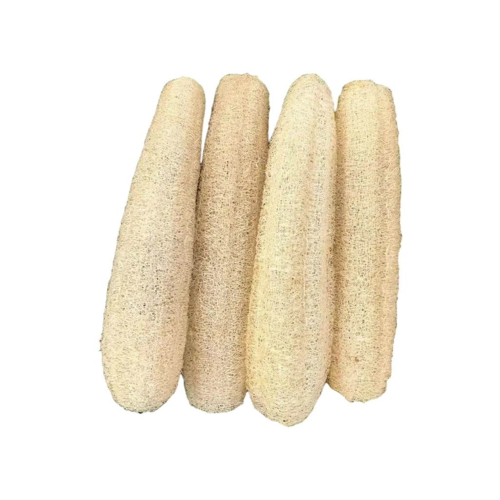 Estropajo de mata grande _ Luffa (1).webp