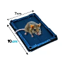 Trampa Atrapa Ratas Pega Fuerte Chica 4pz - Ratonera - Raton (1).webp