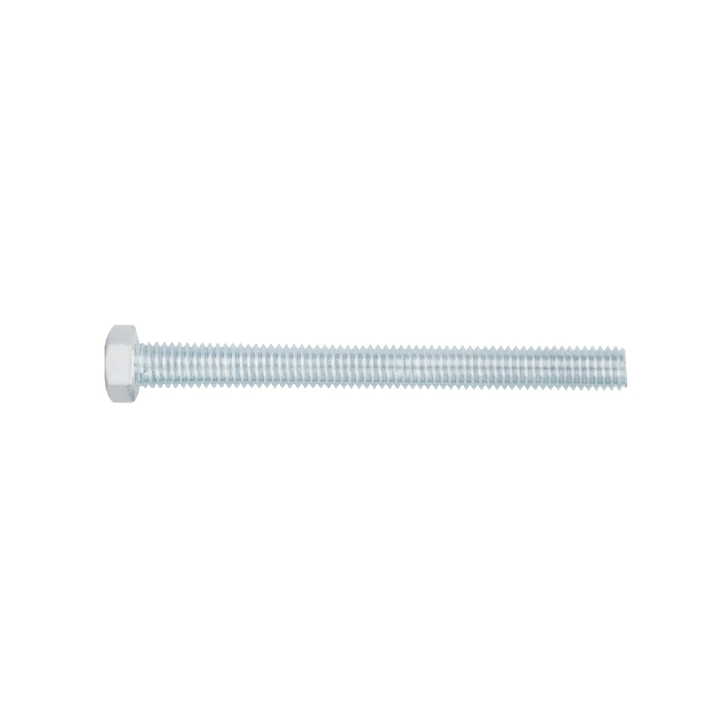 TORM-3-8X4.webp
