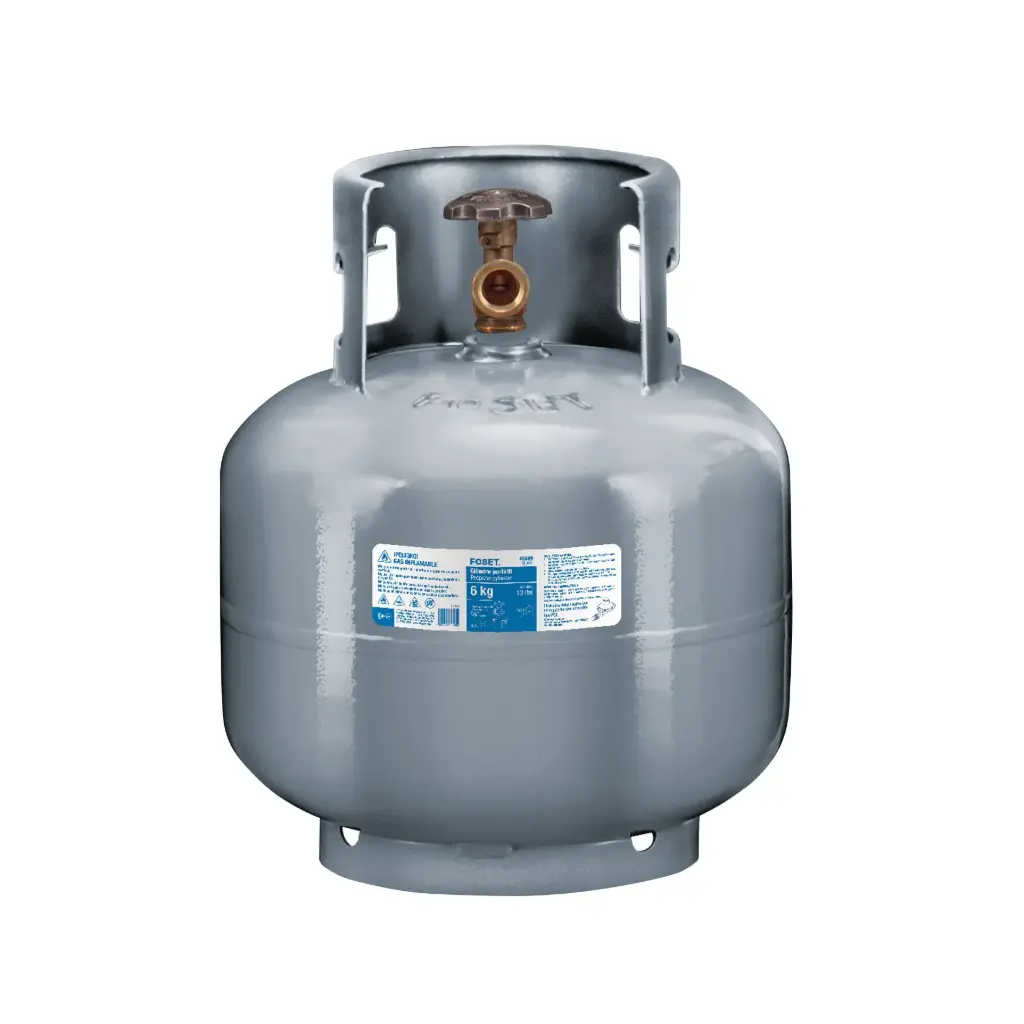 Cilindro portátil para gas LP 6kg (13lb) Tanque | FOSET