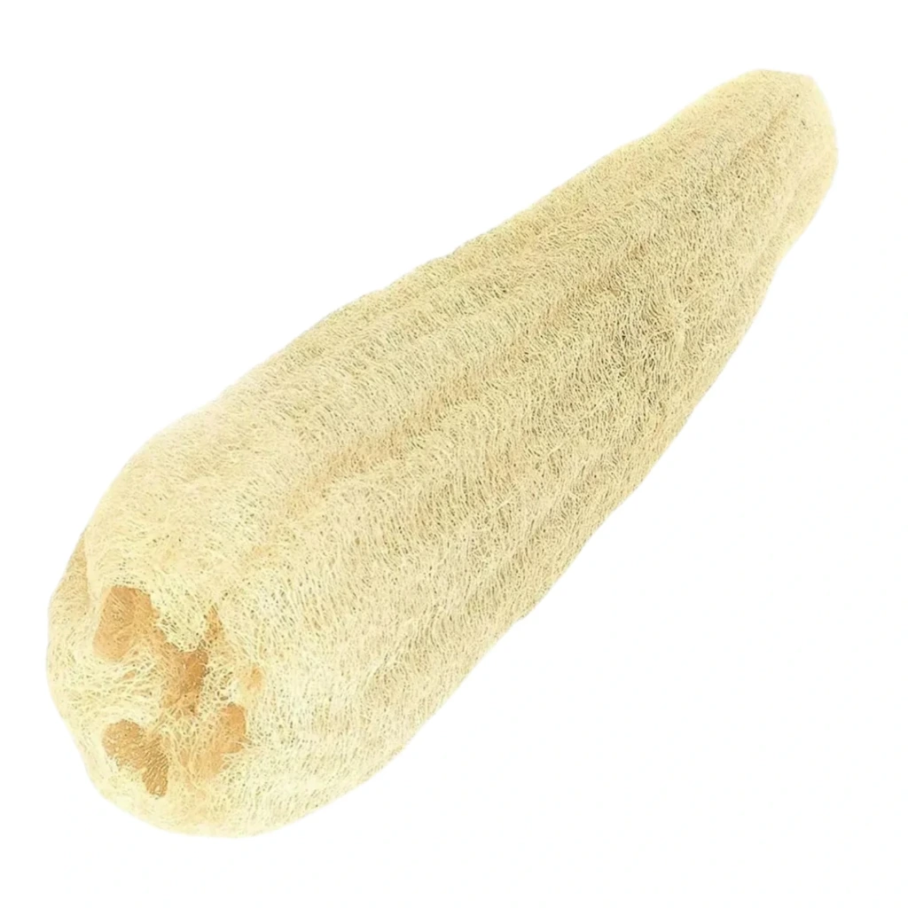 Estropajo de mata grande | Luffa
