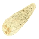 Estropajo de mata grande | Luffa