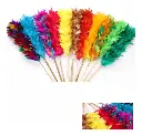Plumero de pluma colores