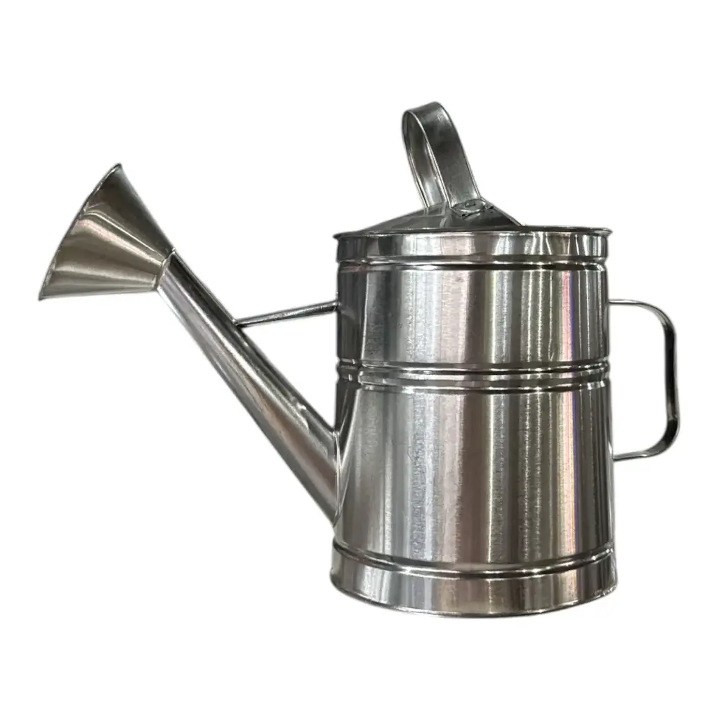 Regadera 2 L Hojalata