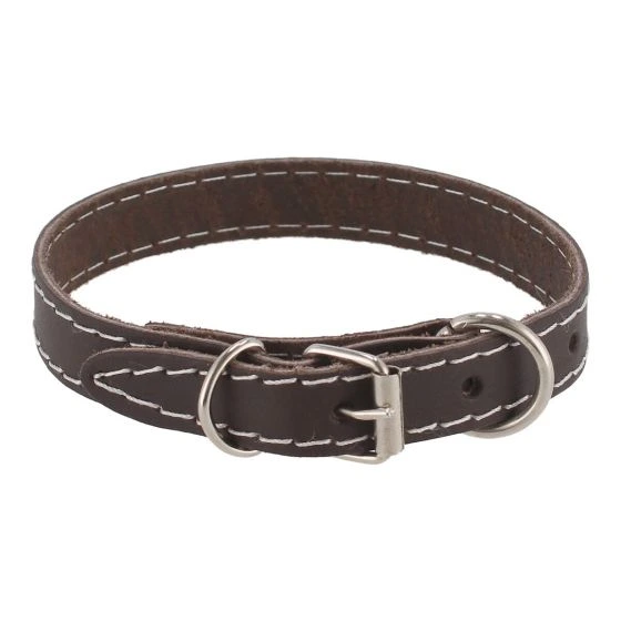 Collar para perro #2 mini nylon colores | Kanio