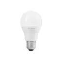 Lamparas de led tipo bulbo 14w sustituye 100w luz de dia│Foco