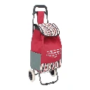 Carrito para mandado con bolsa plegable | Lion tools