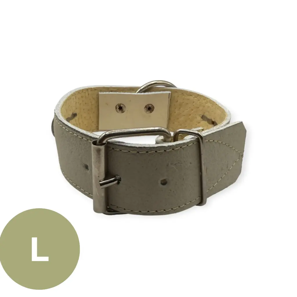 [4272] Collar para perro 1 1/2" cromo | Kanio