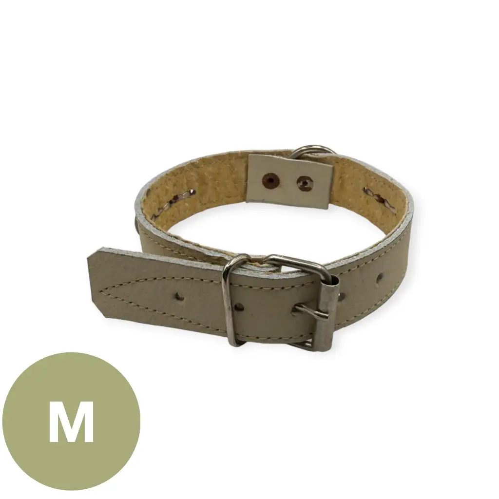 [4273] Collar para perro 1" cromo | Kanio