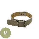 Collar para perro 1" cromo | Kanio