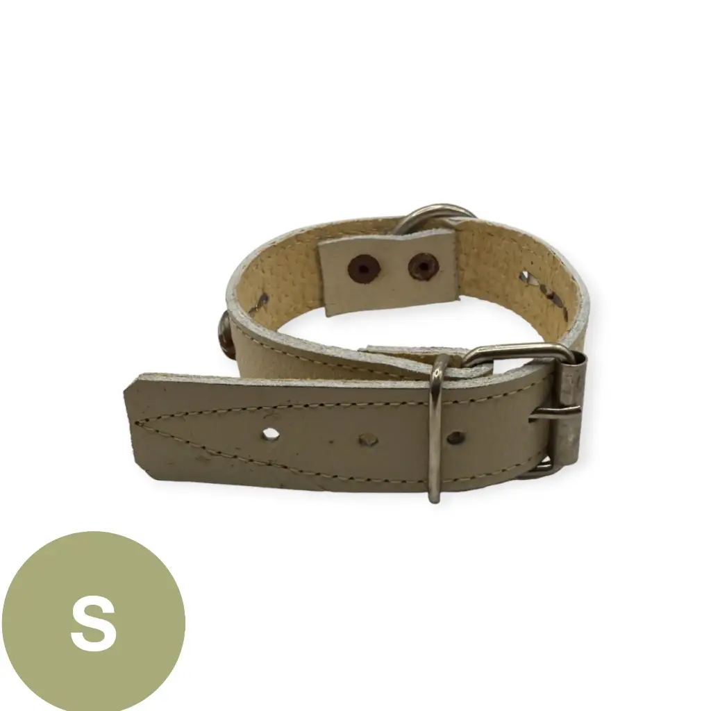 Collar para perro 3/4" cromo | Kanio